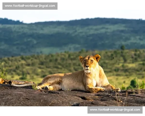马赛老板松口：渴望留住核心却无奈放权，格林伍德拉比奥特命运何去何从？